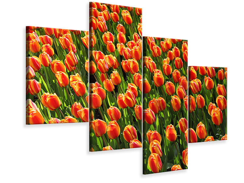 modern-4-piece-canvas-print-tulip-field-in-orange