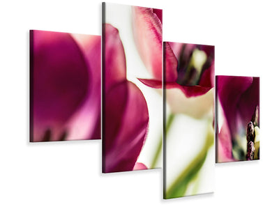 modern-4-piece-canvas-print-tulip-iv