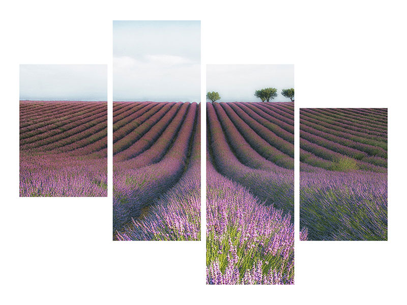 modern-4-piece-canvas-print-velours-de-lavender