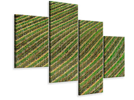 modern-4-piece-canvas-print-vineyard