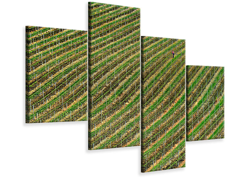 modern-4-piece-canvas-print-vineyard