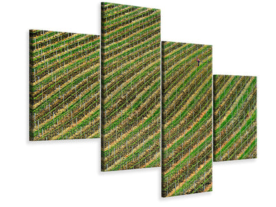 modern-4-piece-canvas-print-vineyard