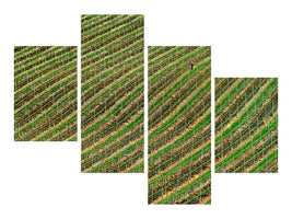 modern-4-piece-canvas-print-vineyard