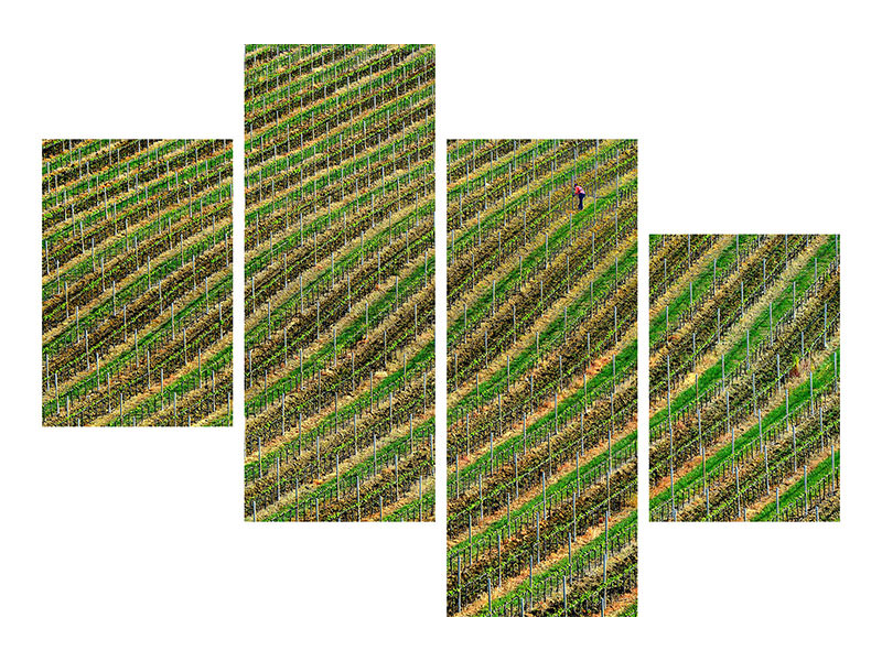 modern-4-piece-canvas-print-vineyard