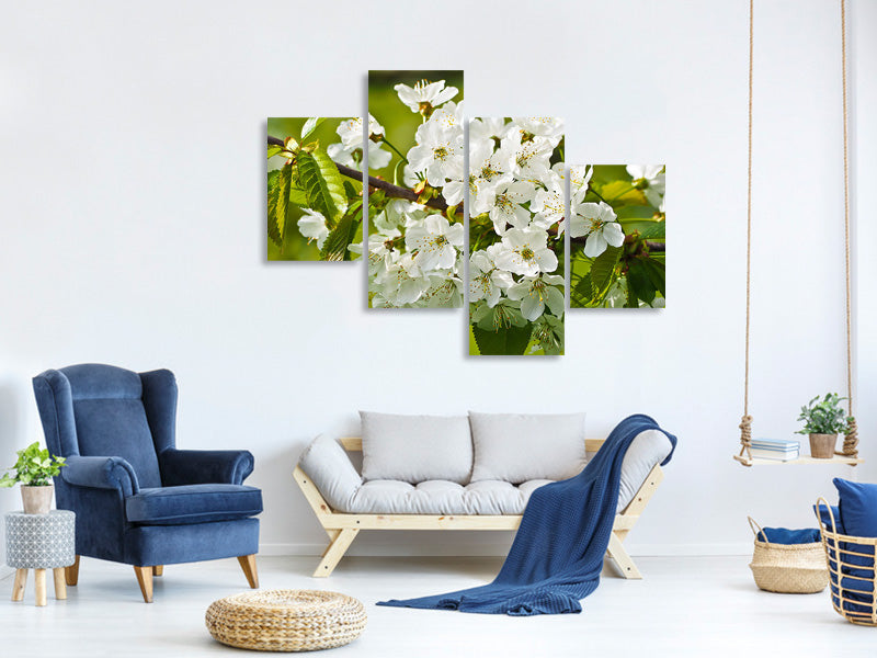 modern-4-piece-canvas-print-white-flowers-in-xl