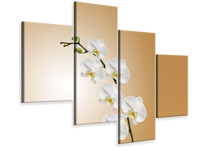 modern-4-piece-canvas-print-white-orchids-xl
