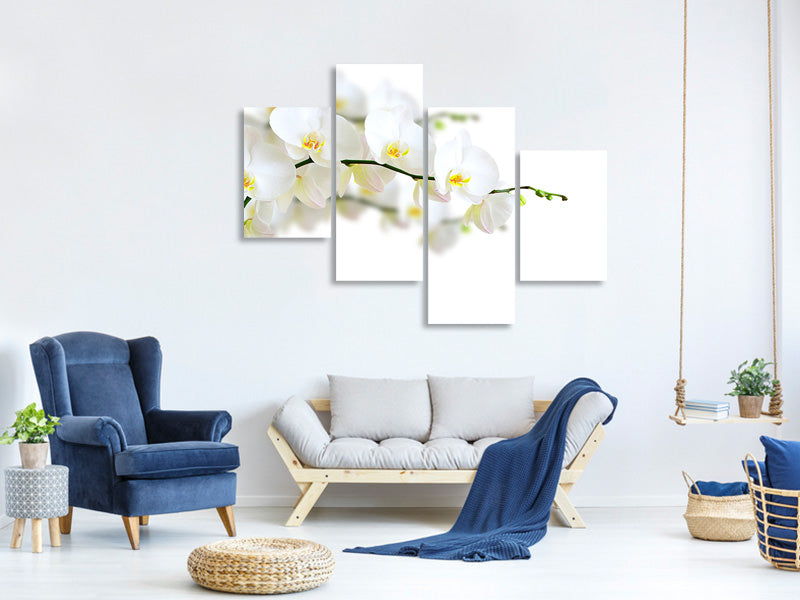 modern-4-piece-canvas-print-white-orchids