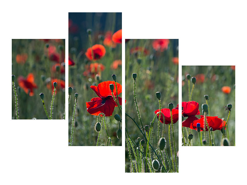 modern-4-piece-canvas-print-wild-poppy