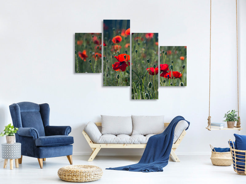 modern-4-piece-canvas-print-wild-poppy