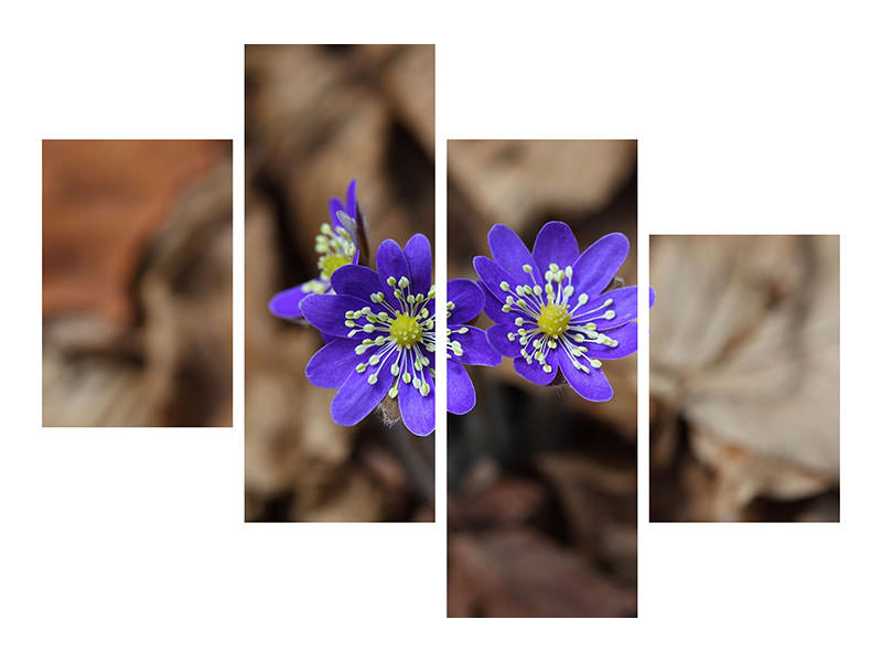 modern-4-piece-canvas-print-wildflowers