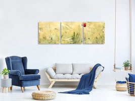 panoramic-3-piece-canvas-print-a-poppy