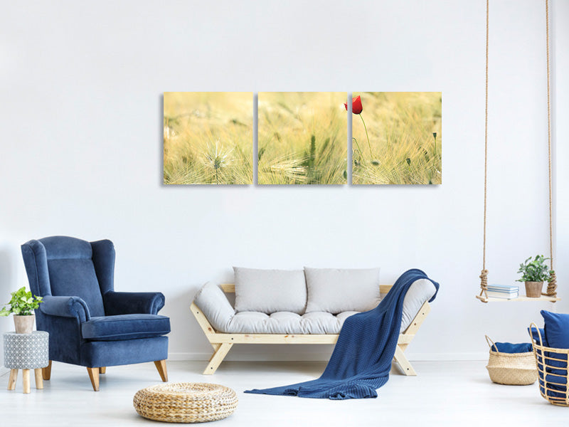 panoramic-3-piece-canvas-print-a-poppy