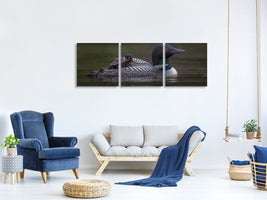 panoramic-3-piece-canvas-print-along-for-the-ride