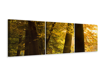 panoramic-3-piece-canvas-print-autumn-leaves