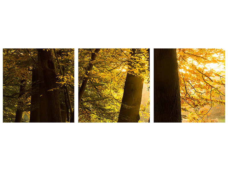 panoramic-3-piece-canvas-print-autumn-leaves