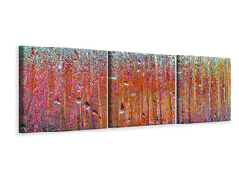 panoramic-3-piece-canvas-print-behind-glass