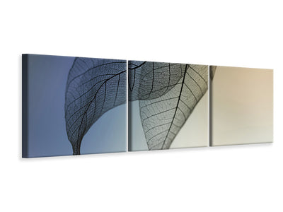 panoramic-3-piece-canvas-print-cavatina