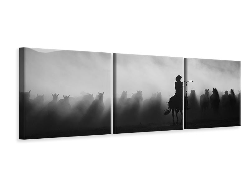 panoramic-3-piece-canvas-print-chasing-the-jades