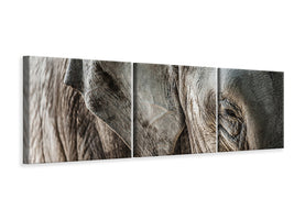 panoramic-3-piece-canvas-print-close-up-elephant