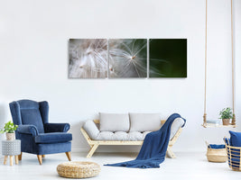 panoramic-3-piece-canvas-print-close-up-flowers-fibers