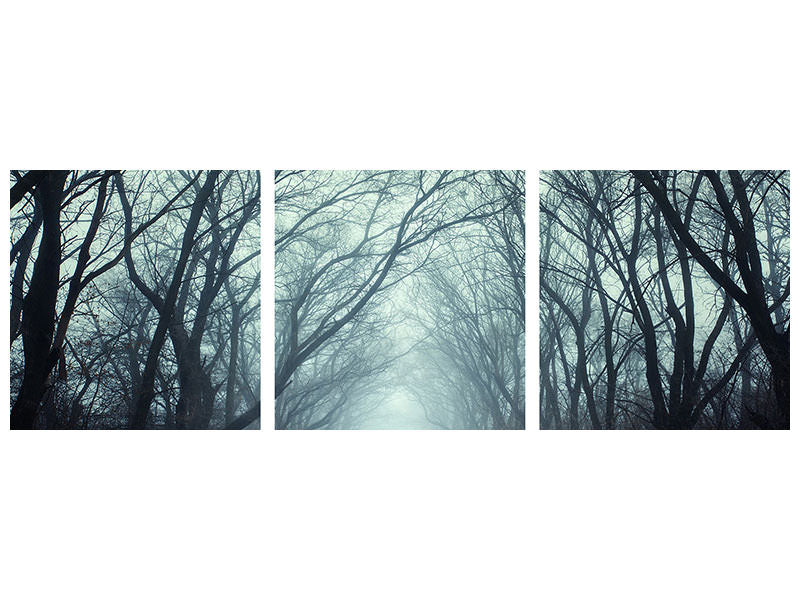 panoramic-3-piece-canvas-print-cloud-forest