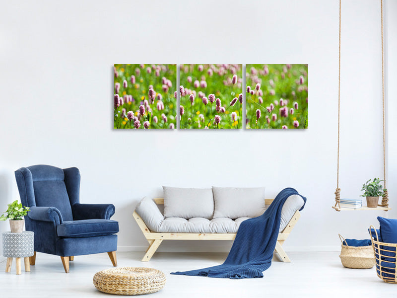 panoramic-3-piece-canvas-print-clover