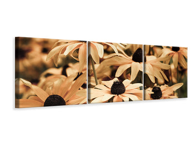 panoramic-3-piece-canvas-print-daisies-in-sepia