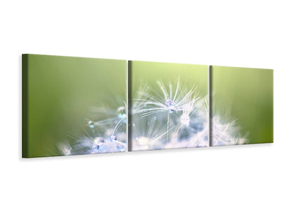 panoramic-3-piece-canvas-print-dandelion-xl-in-morning-dew