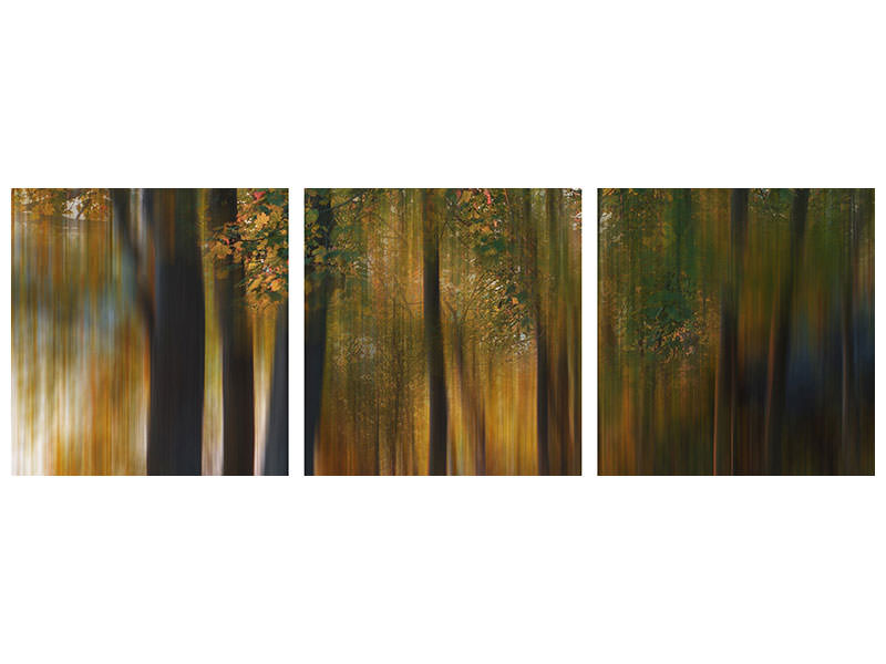 panoramic-3-piece-canvas-print-fall-impression-i