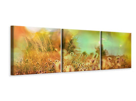 panoramic-3-piece-canvas-print-flower-meadow-at-twilight