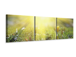 panoramic-3-piece-canvas-print-flowery-meadow