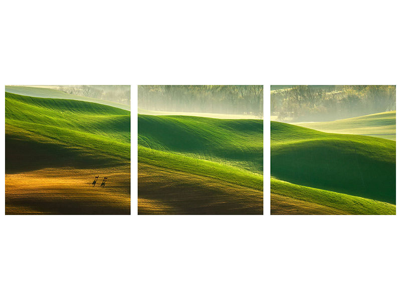 panoramic-3-piece-canvas-print-freedom-ii