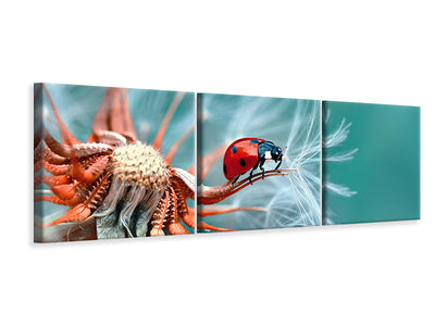 panoramic-3-piece-canvas-print-freedoom