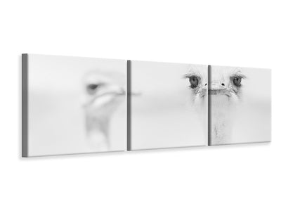 panoramic-3-piece-canvas-print-funny-ostrich