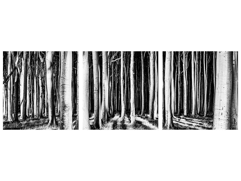 panoramic-3-piece-canvas-print-ghost-forest