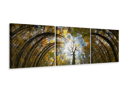 panoramic-3-piece-canvas-print-her-majesty