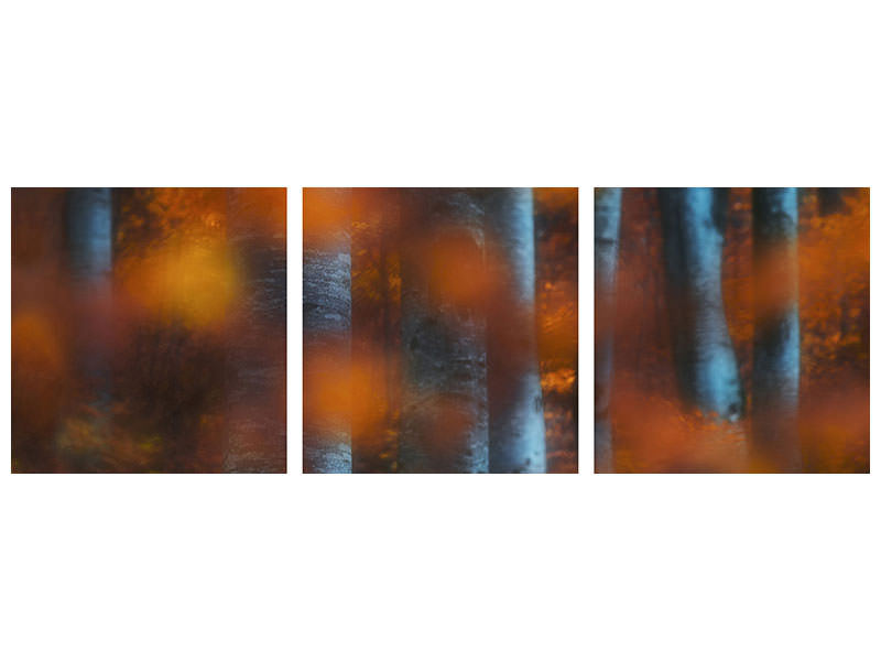 panoramic-3-piece-canvas-print-hidden-forest