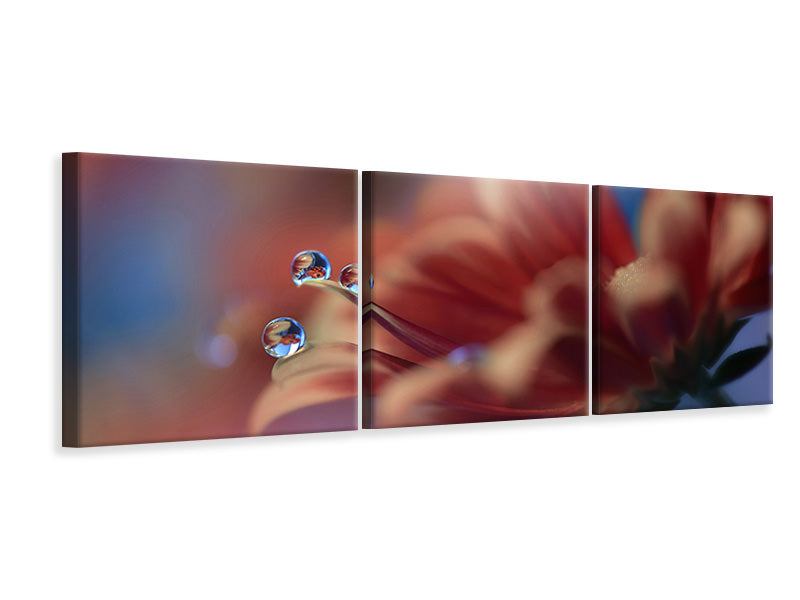 panoramic-3-piece-canvas-print-inmost