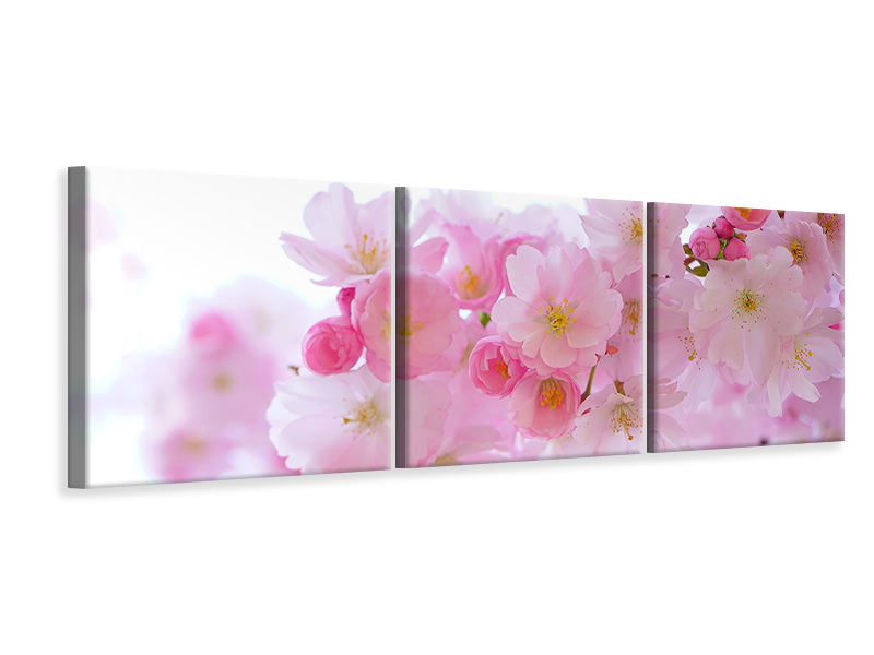 panoramic-3-piece-canvas-print-japanese-cherry-blossom-xl