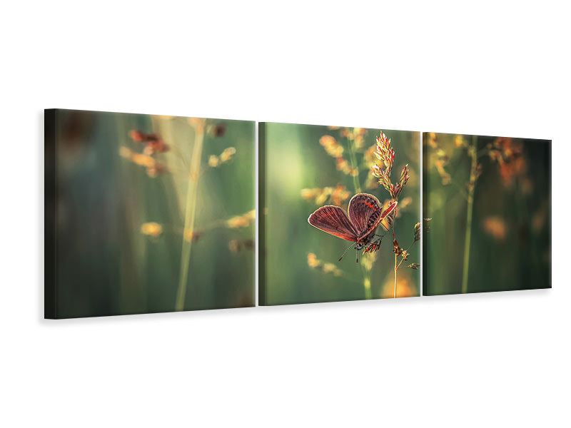 panoramic-3-piece-canvas-print-last-light