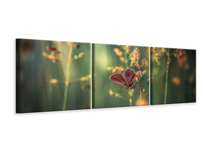 panoramic-3-piece-canvas-print-last-light