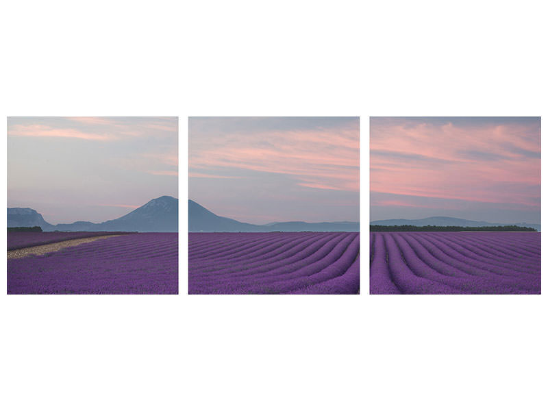 panoramic-3-piece-canvas-print-lavender-field