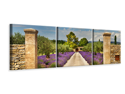 panoramic-3-piece-canvas-print-lavender-garden