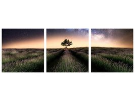 panoramic-3-piece-canvas-print-lavender-way