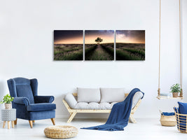 panoramic-3-piece-canvas-print-lavender-way