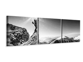 panoramic-3-piece-canvas-print-life-at-the-top