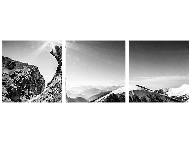 panoramic-3-piece-canvas-print-life-at-the-top