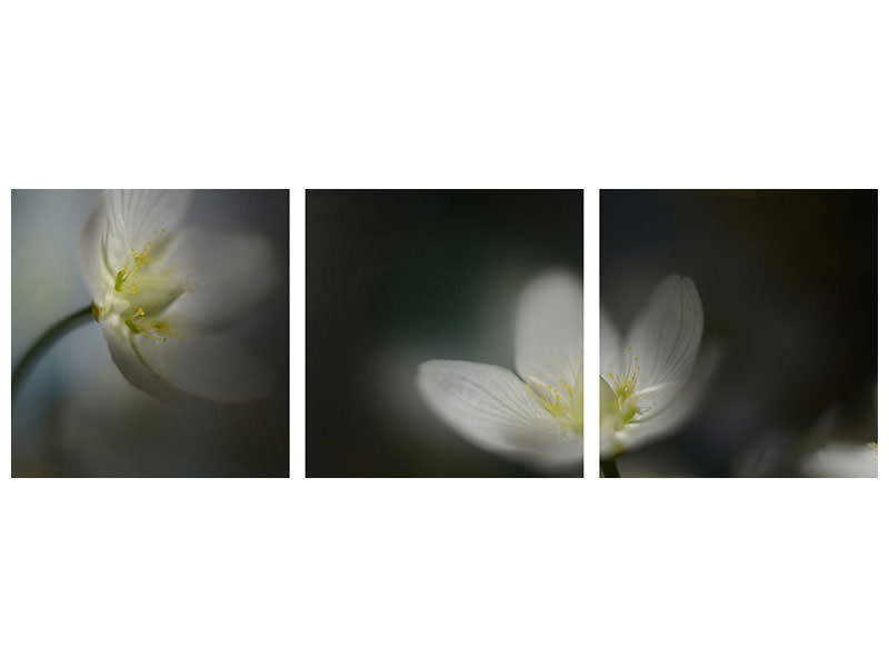 panoramic-3-piece-canvas-print-light-in-the-darkness