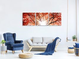 panoramic-3-piece-canvas-print-light-of-autumn