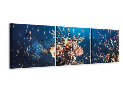 panoramic-3-piece-canvas-print-lionfish
